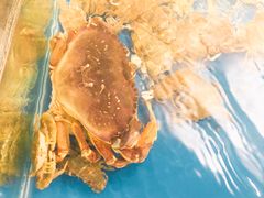 -袁老大龙虾(石鼓路总店)