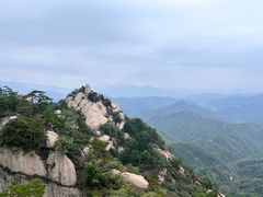 -六里坪国家森林公园