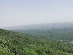 -紫金山天文台