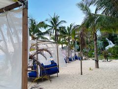 -精酿农场Brew Farm·沙漠绿洲餐厅