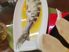 清蒸白鱼-龙泽园私房菜·地道南京味 ·招牌大鱼头(油坊桥店)