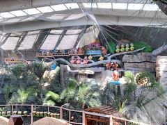 -南宫五洲植物乐园