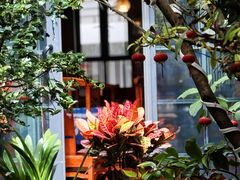 -海韵人家.海景花园经典云南菜(双廊店)