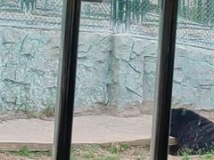 -太原动物园