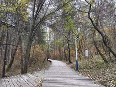 -帽儿山国家森林公园