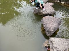 -西樵山风景名胜区-天湖公园