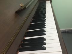 -爱乐蒙艺术古筝钢琴声乐(双楠红牌楼校区)