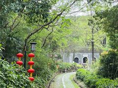 -镇江市南山风景名胜区竹林景区