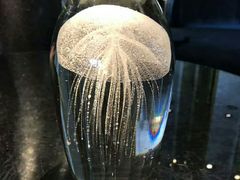 -迪拜帆船酒店海底餐厅