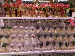 -KKV(深圳宏发大仟里店)