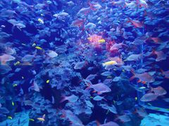 -成都浩海立方海洋公园