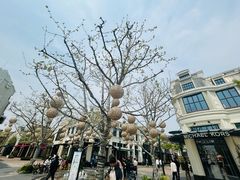 -比斯特上海购物村精品奥特莱斯