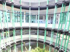 -杭州观成实验学校