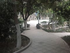 -莲湖公园
