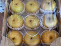 -南汇新场正宗水蜜桃采摘