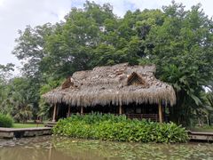 -中国科学院西双版纳热带植物园