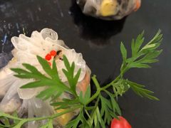 -周三的情书花园餐厅(江北店)