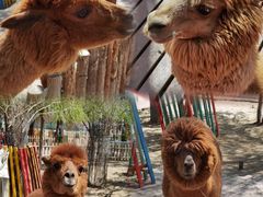 -水上乐园·欢乐世界