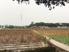 -米岗农庄