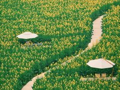 -中国天府农业博览园