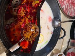 -朱光玉火锅馆(龙阳广场店)