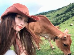 -大姆山草场