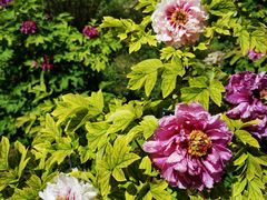 -国家植物园南园