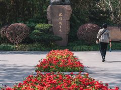 -徐家汇源景区-衡山公园