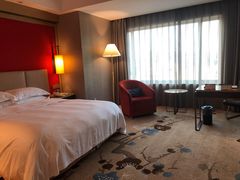 -南京维景国际大酒店(南京博物院店)