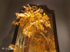 -渝乡辣婆婆·川菜 水煮鱼(安平店)