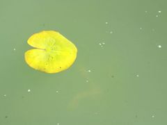 -暨阳湖生态园