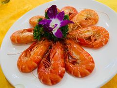 -蚝专家(北滘店)