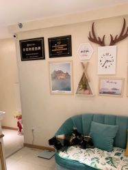 -薇兰专业脱毛连锁机构