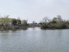 -桃花岛景观公园