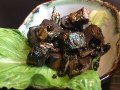 -春草居酒屋·晴子の店
