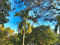 -东莞植物园