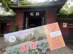 -桂湖森林公园