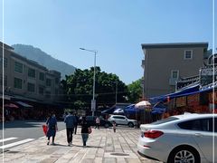-悦城龙母祖庙