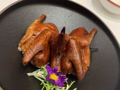 金牌乳鸽皇-潮好味(国贸英皇集团中心店)
