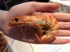 -星伦多自助料理·涮烤一体(虹悦城店)