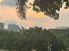 -深圳龙潭公园