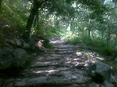 -阳台山自然风景区