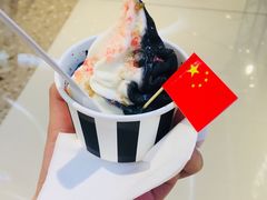 -JW德国冻酸奶Frozen Yogurt(龙湖成都滨江天街店)