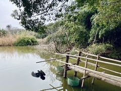 -亮河湾山庄