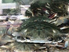 -普乐酱蟹(coex店)