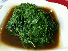 金花茶-石家饭店原址