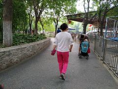 -丰台科技园生态主题公园