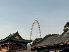 -天津大悲禅院