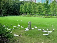 -上海龙之梦万丽酒店