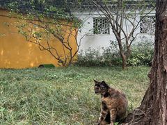 -西园戒幢律寺